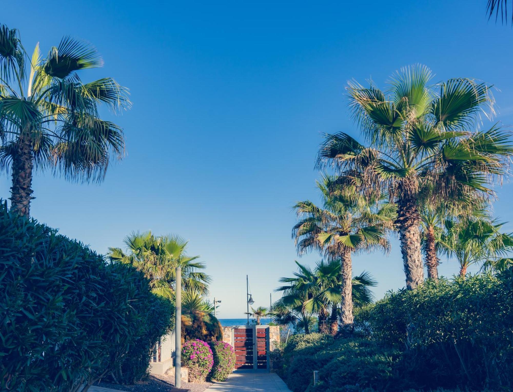 Apartamento Premium Con Jacuzzi Y Vistas Al Mar En Punta Prima, Torrevieja By Rentalole Exterior foto